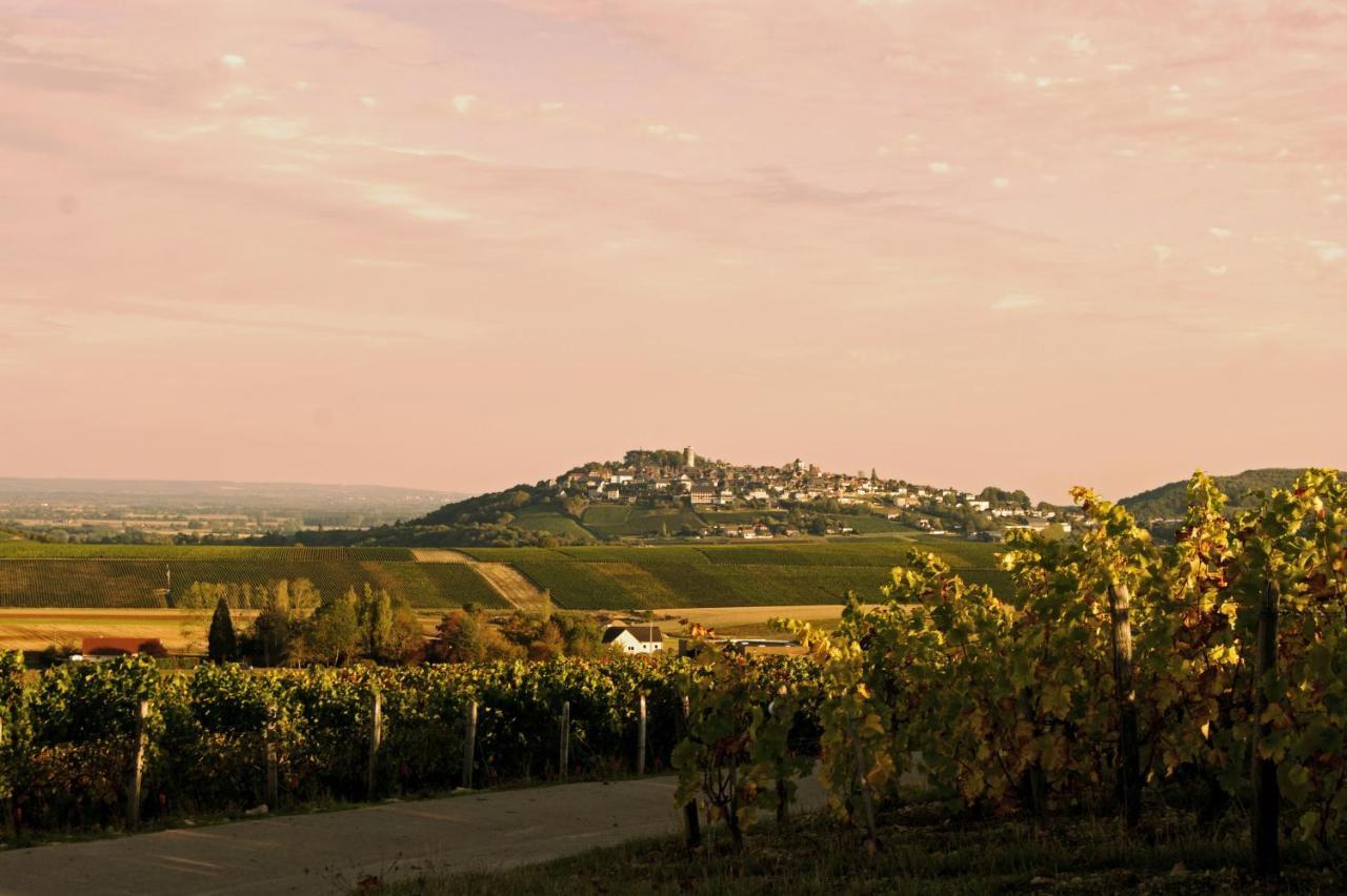 Au 9 Rue De La Paix, Maison D Elisabeth Villa Sancerre Buitenkant foto